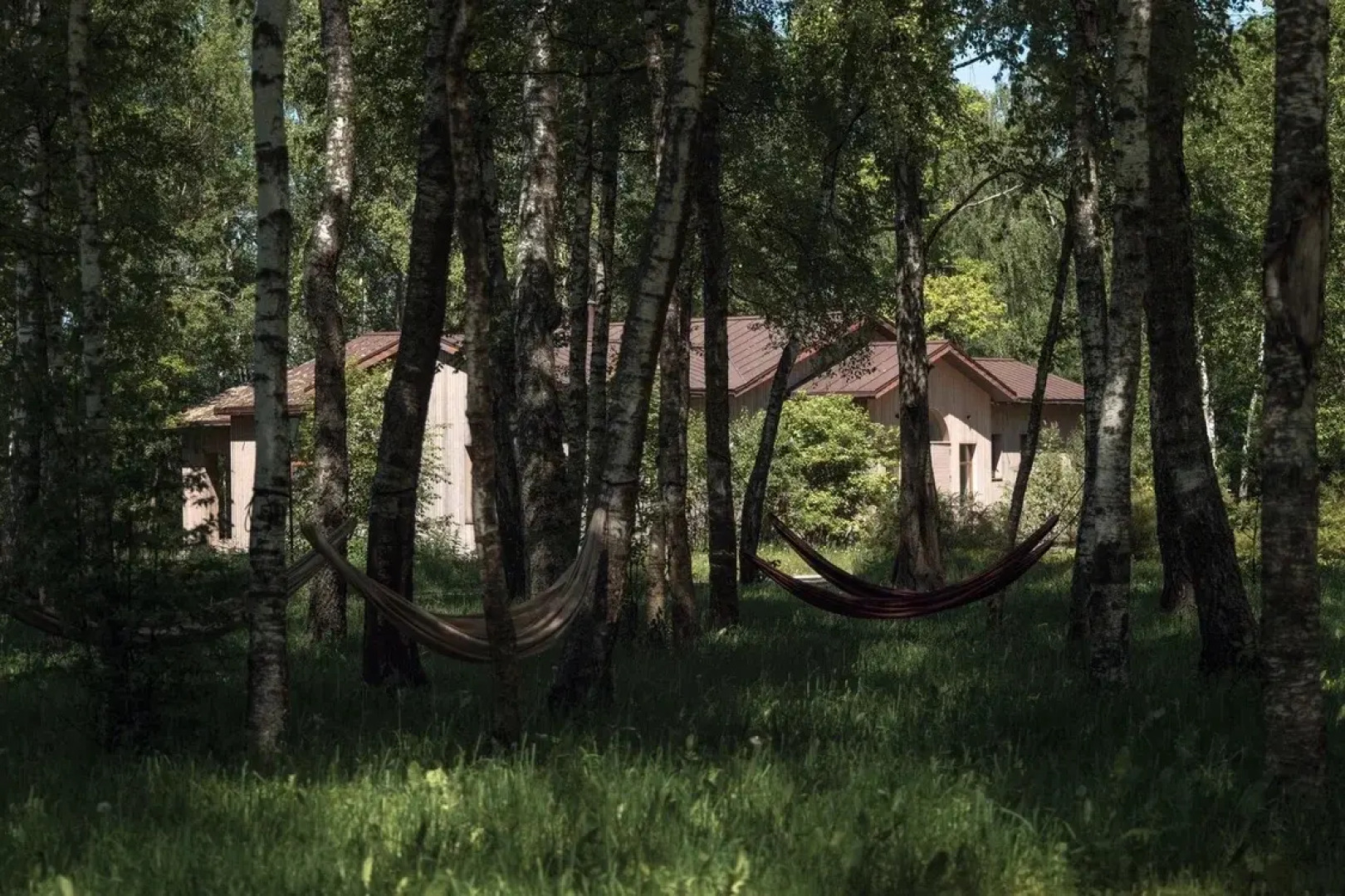 Отель Чехов Апи