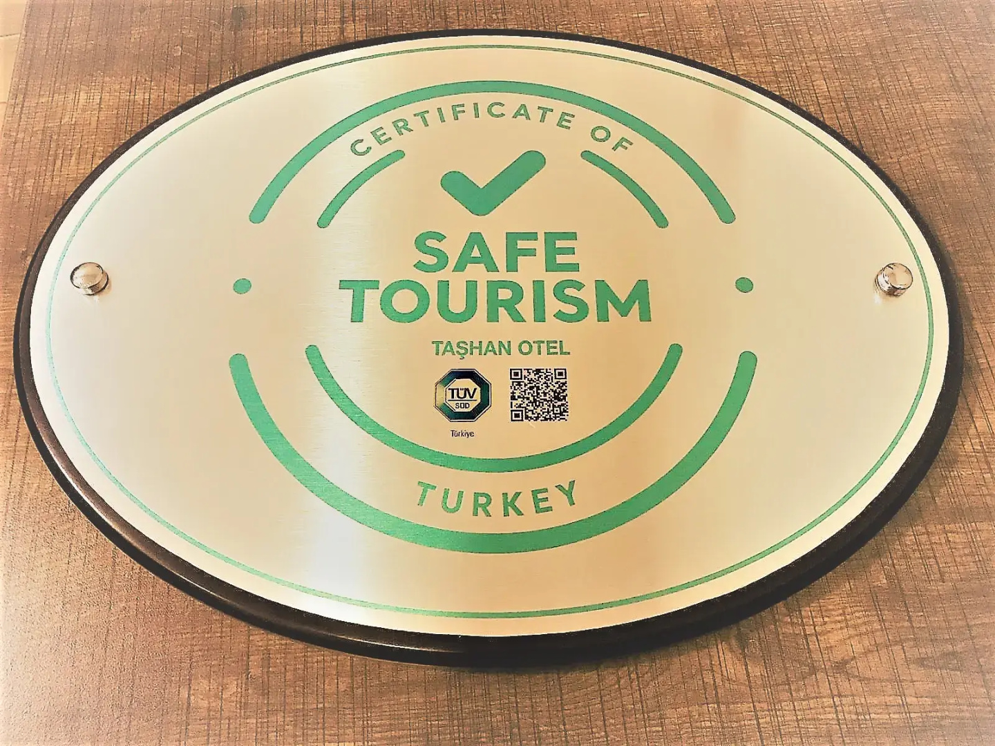 Отель Bakirkoy Tashan Business& Airport Hotel