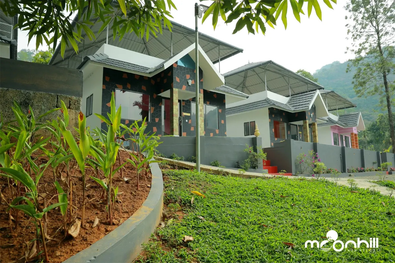 Moon Hill Resort Munnar ( Nature Retreat )