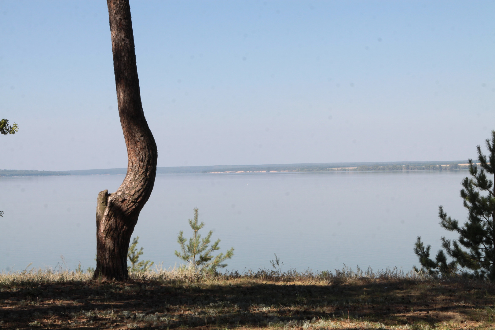 База Отдыха Сосновый Бор на Усе