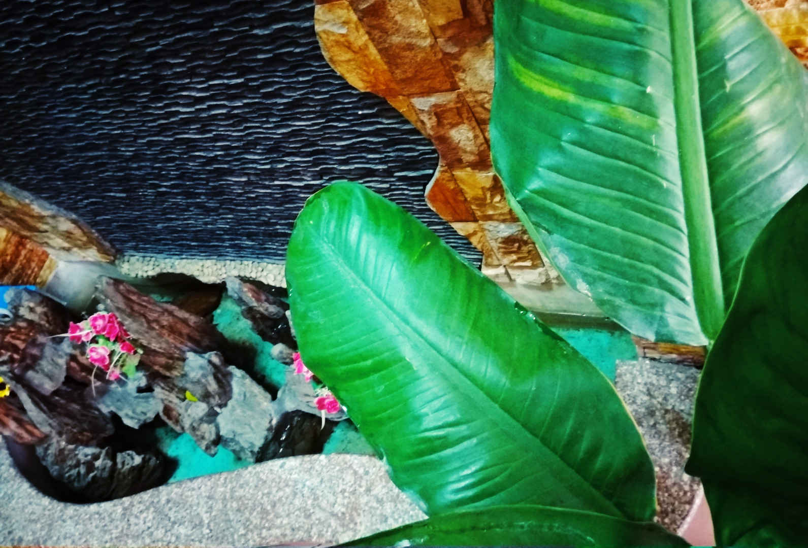 Гостевой Дом Win's Danang Homestay