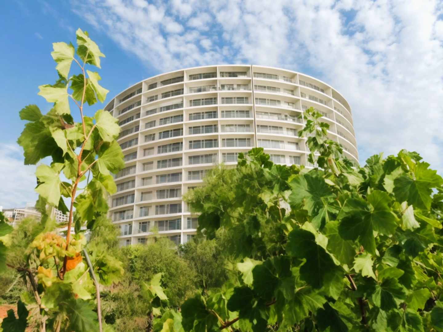 Апартаменты Шикарные на Берегу Моря