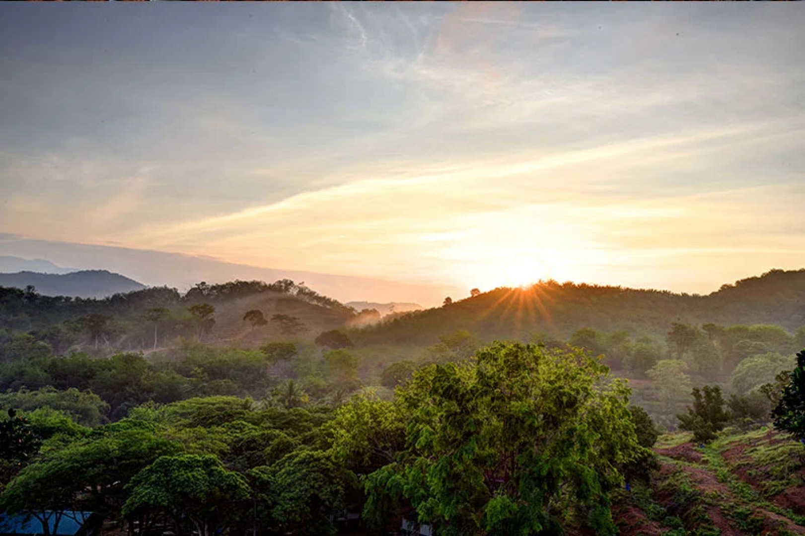 Отель The Orchard Wellness & Health Resort