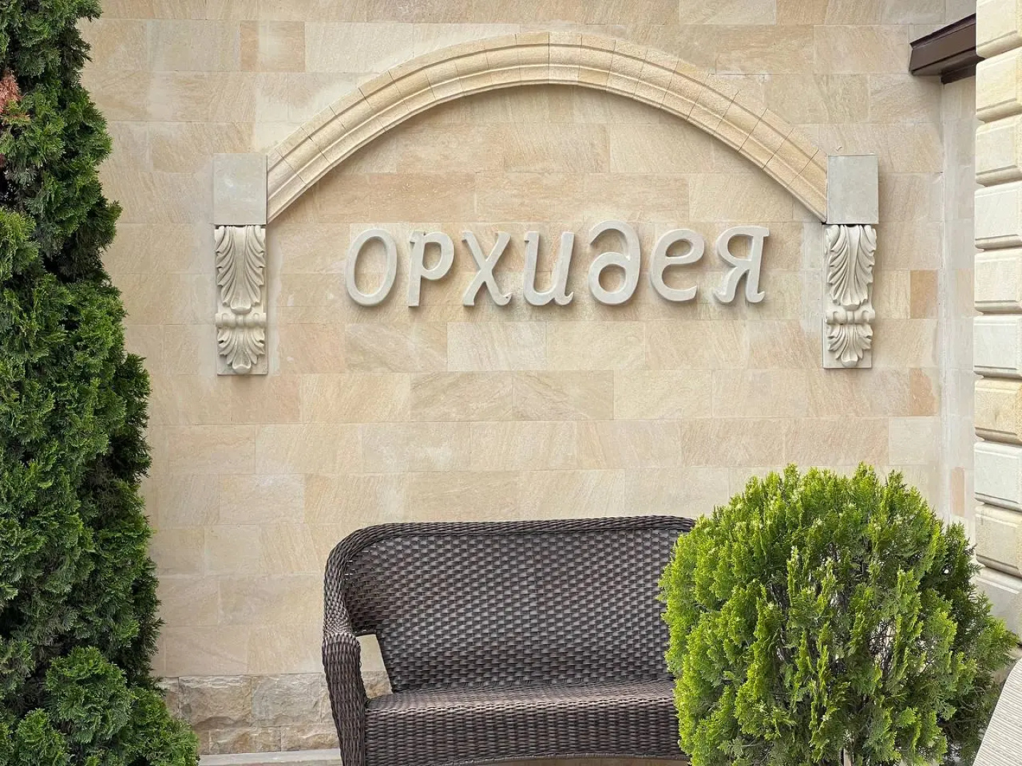 Орхидея