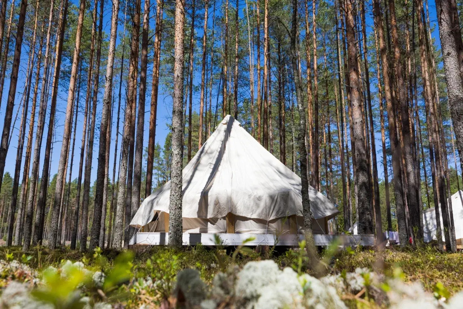 Кемпинг Экопарк Большая Рыба