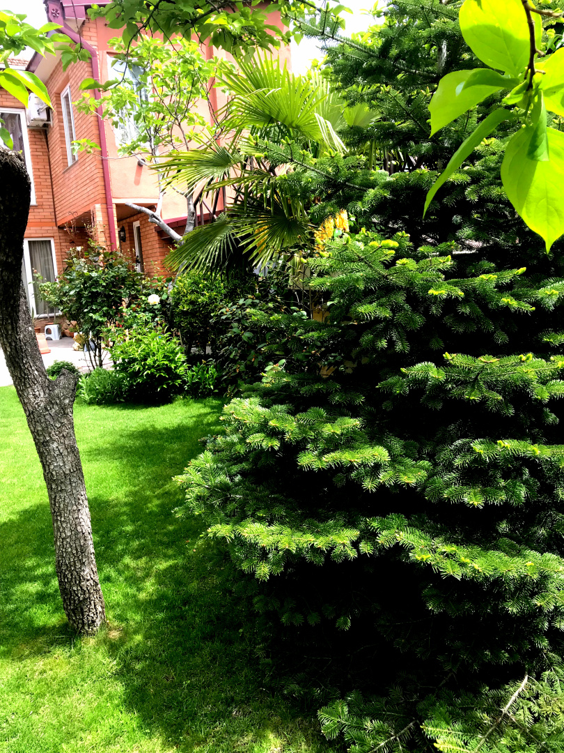 Апартаменты Green Garden