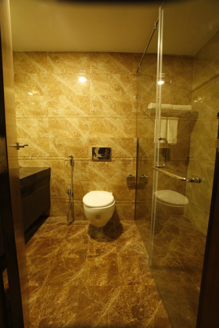 Отель Patliputra Continental