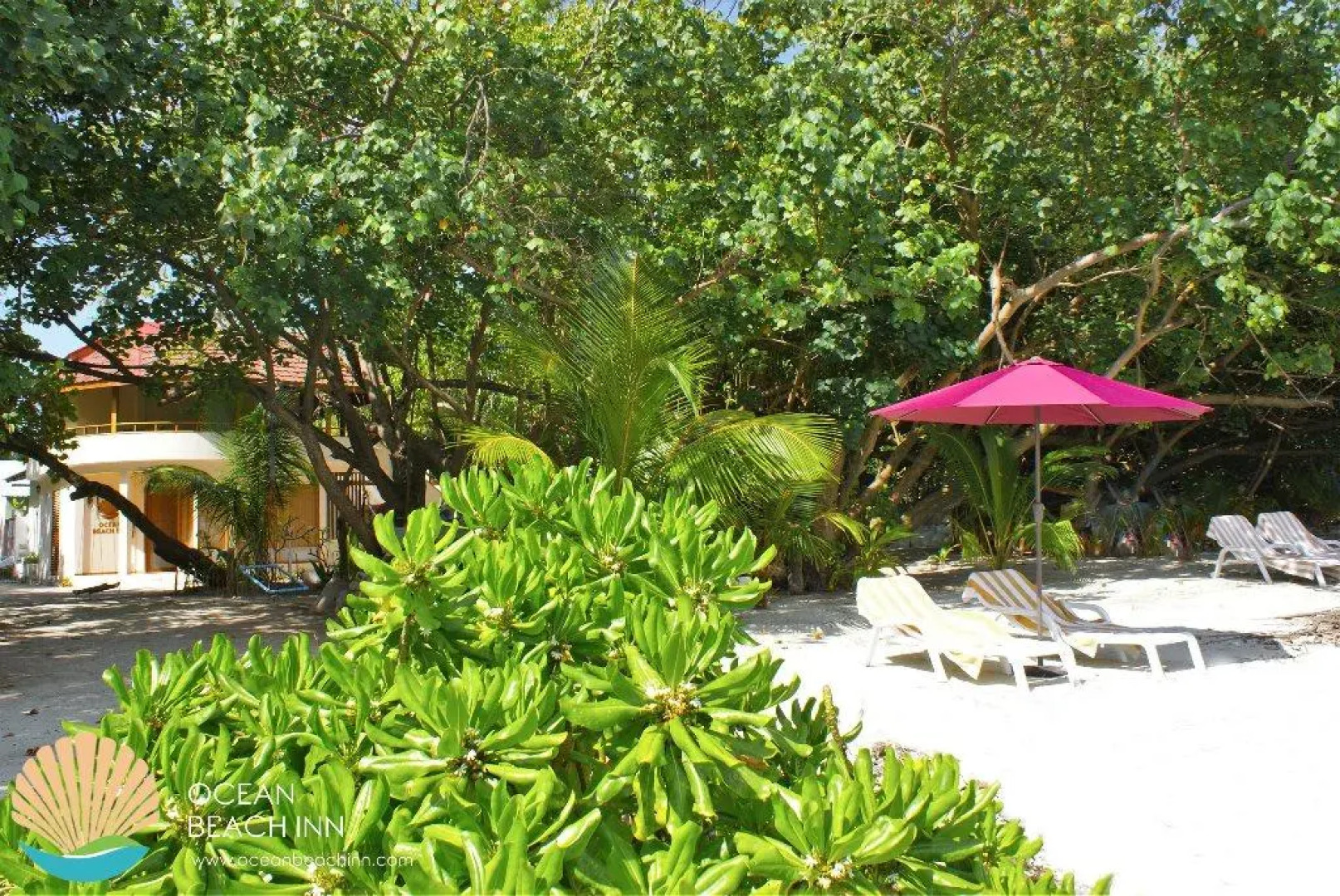Гостевой дом Ocean Beach Inn - Maldives