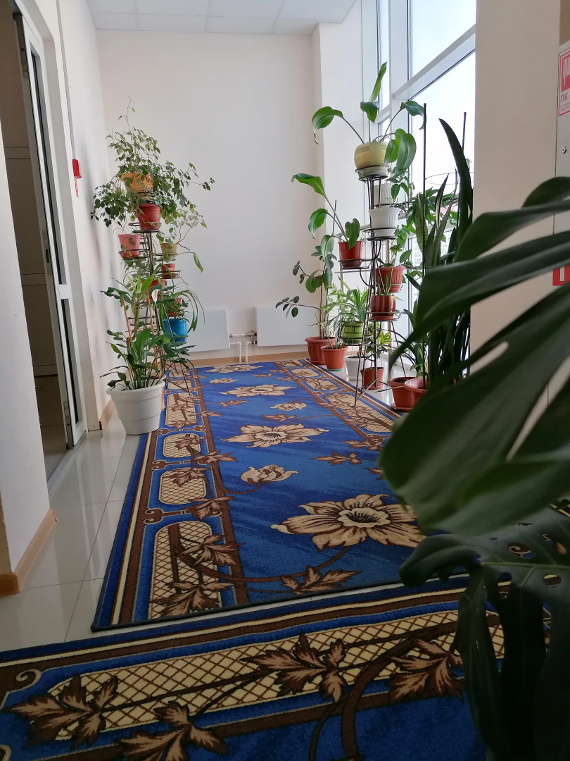 Отель Эмдер