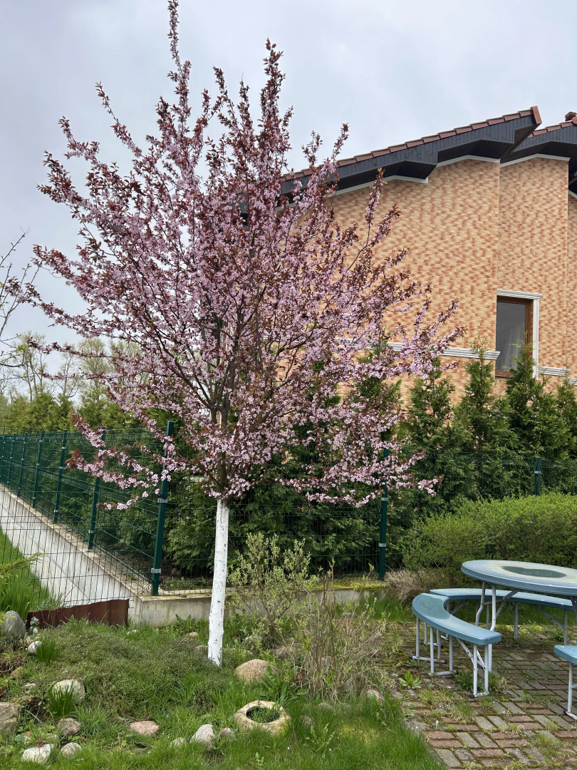 Частный дом  Морская миля