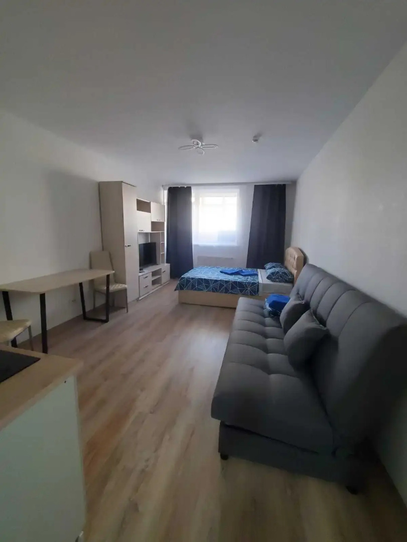 Апартаменты у Аэропорта Dream House