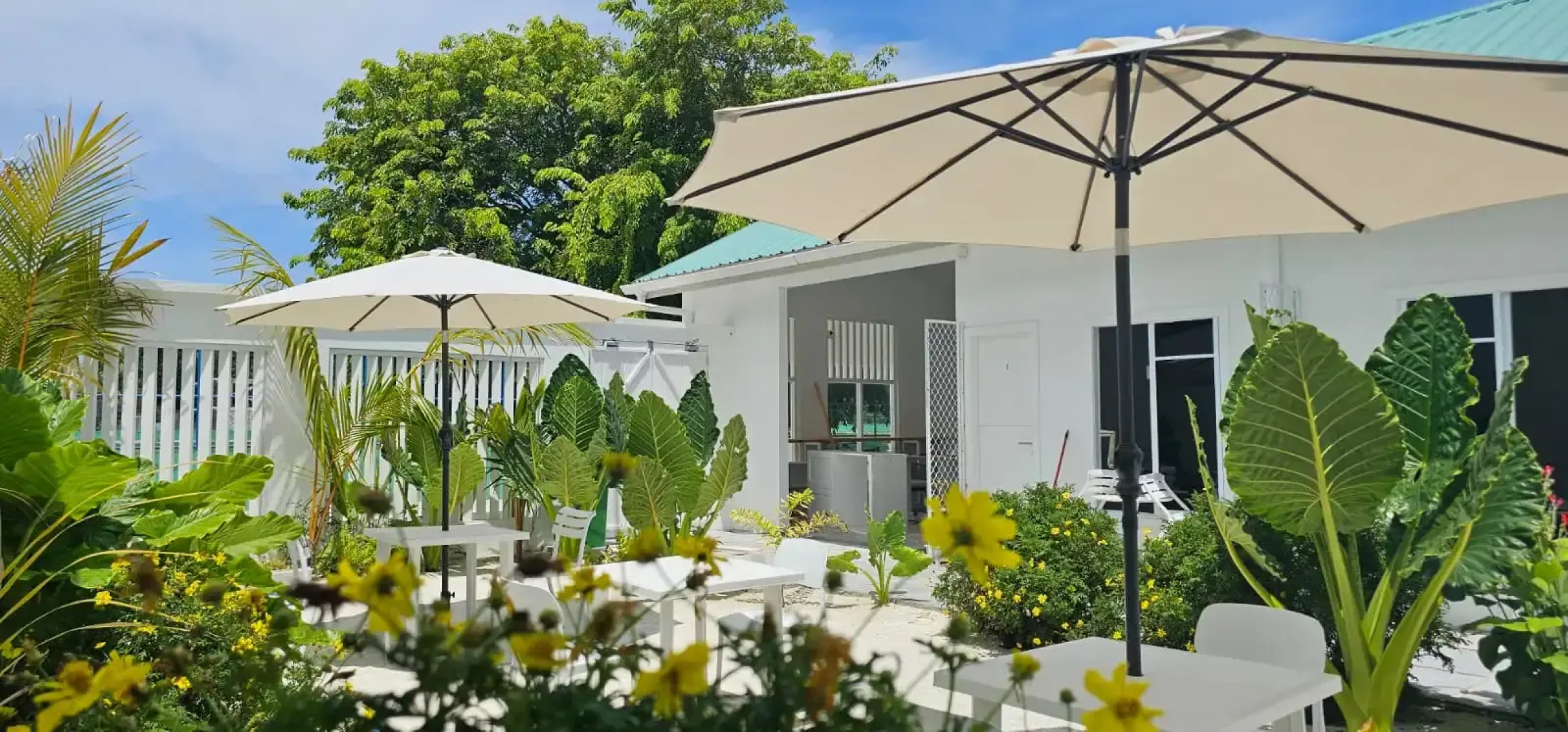 Ночлег и завтрак (B&B) Avi Guesthouse