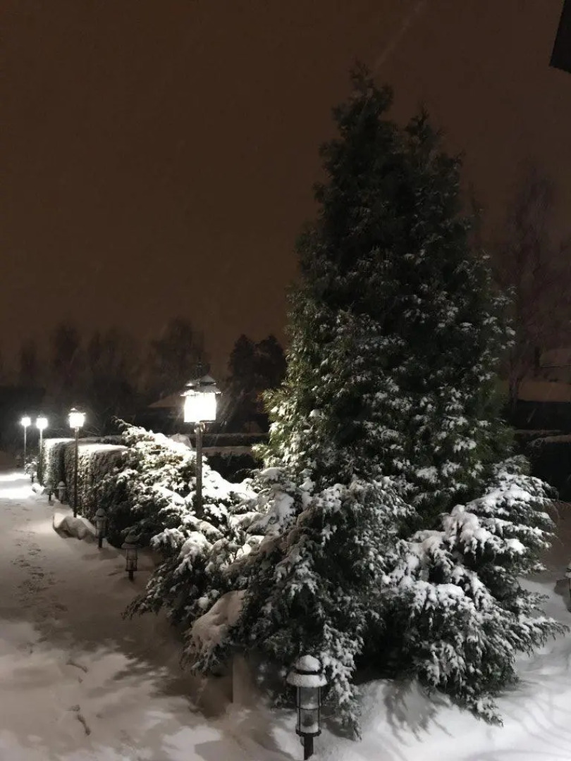 Вилла Lobnya Village