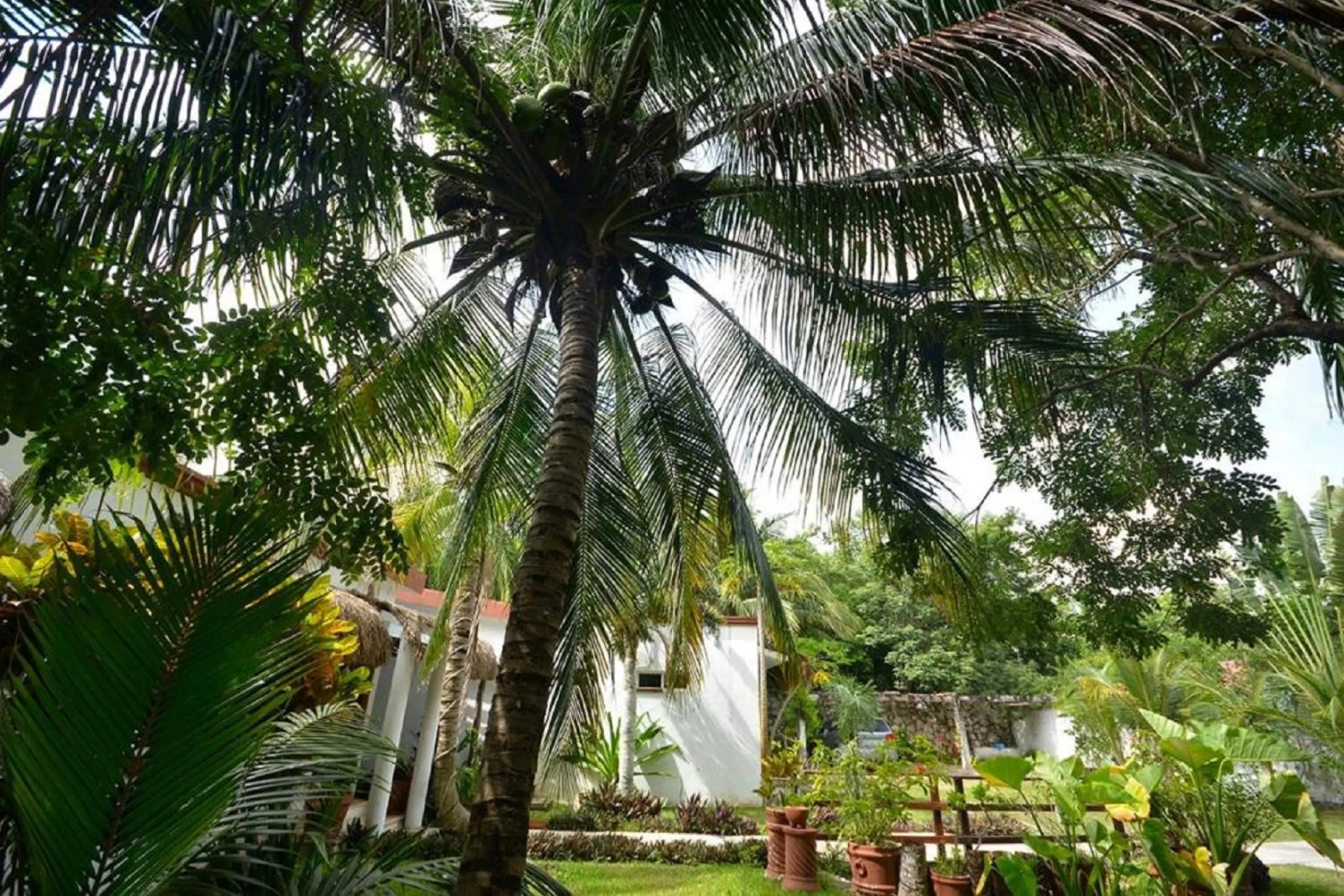 Гостевой дом Koch