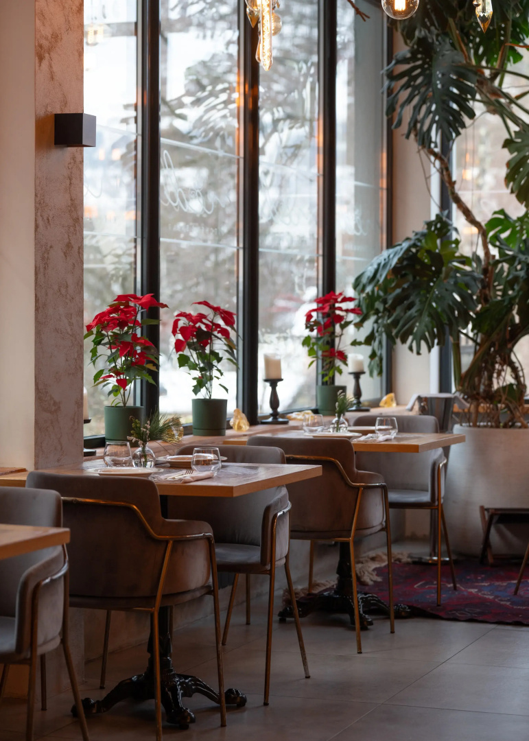 Отель Hills Polyana Hotel & Spa