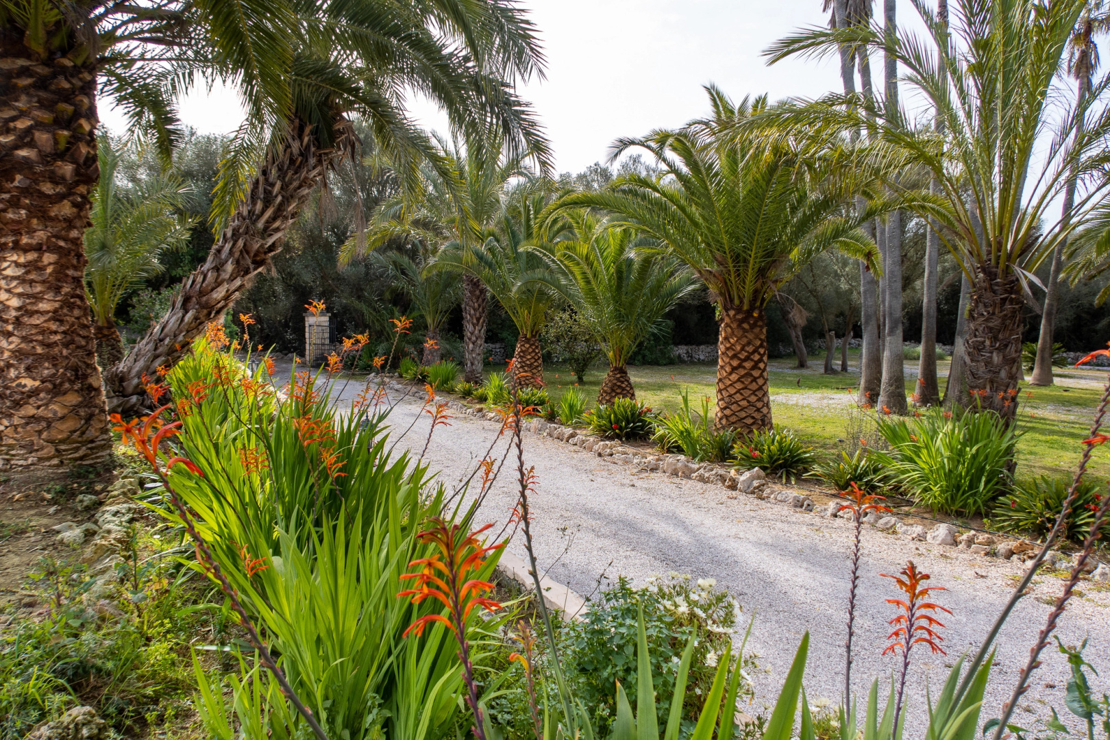 Отель Finca Predio Son Serra