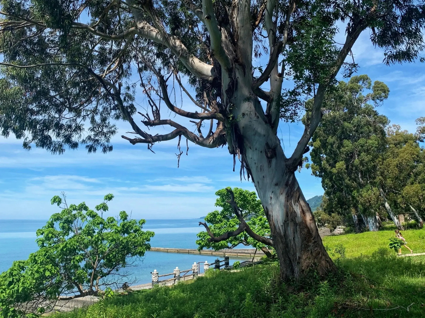 База отдыха Набережная Виктория