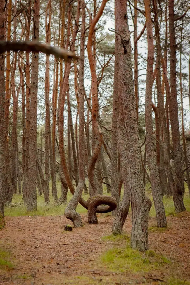 База отдыха Хан Шатыр