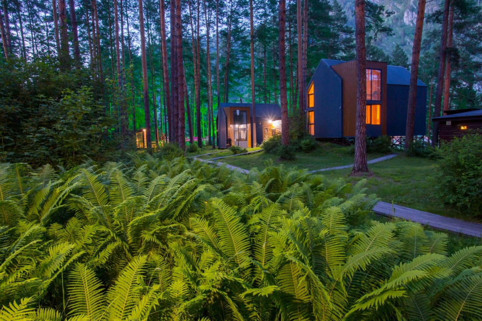 Отель Царская Охота