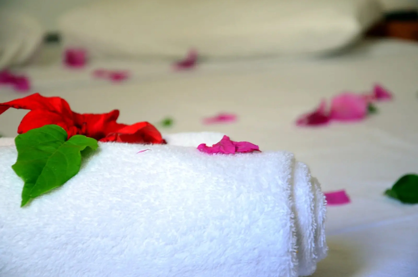 Отель Sunpoint Family