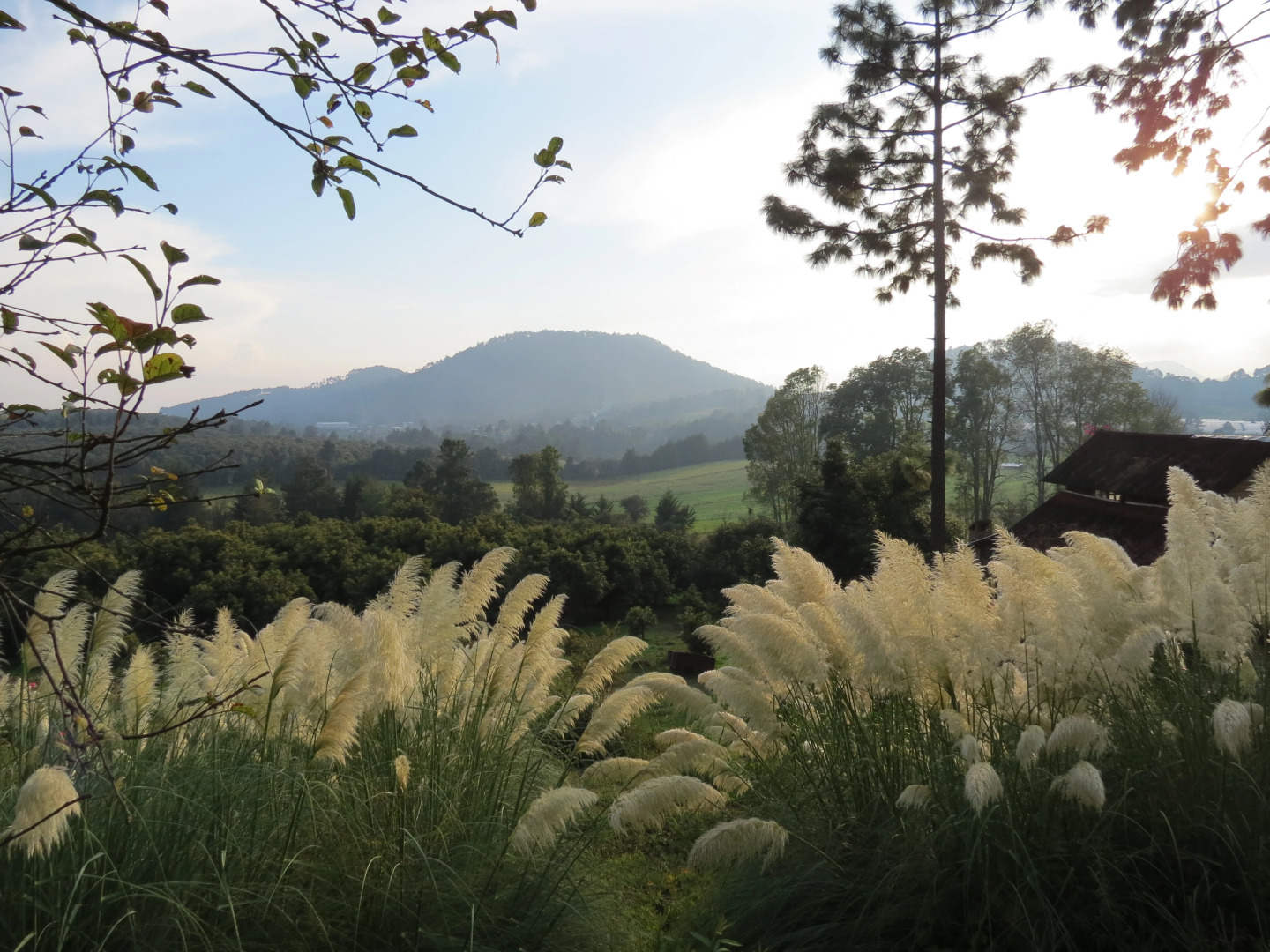 Отель Viña Real Cabañas Rotamundos