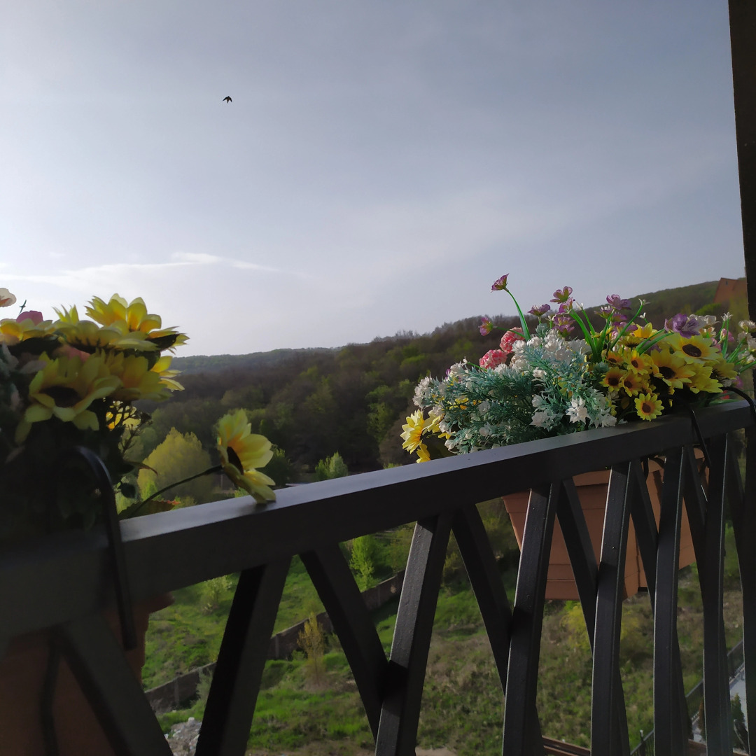 Апартаменты 1BR Apt with pool &spa Alvina by Jazzy