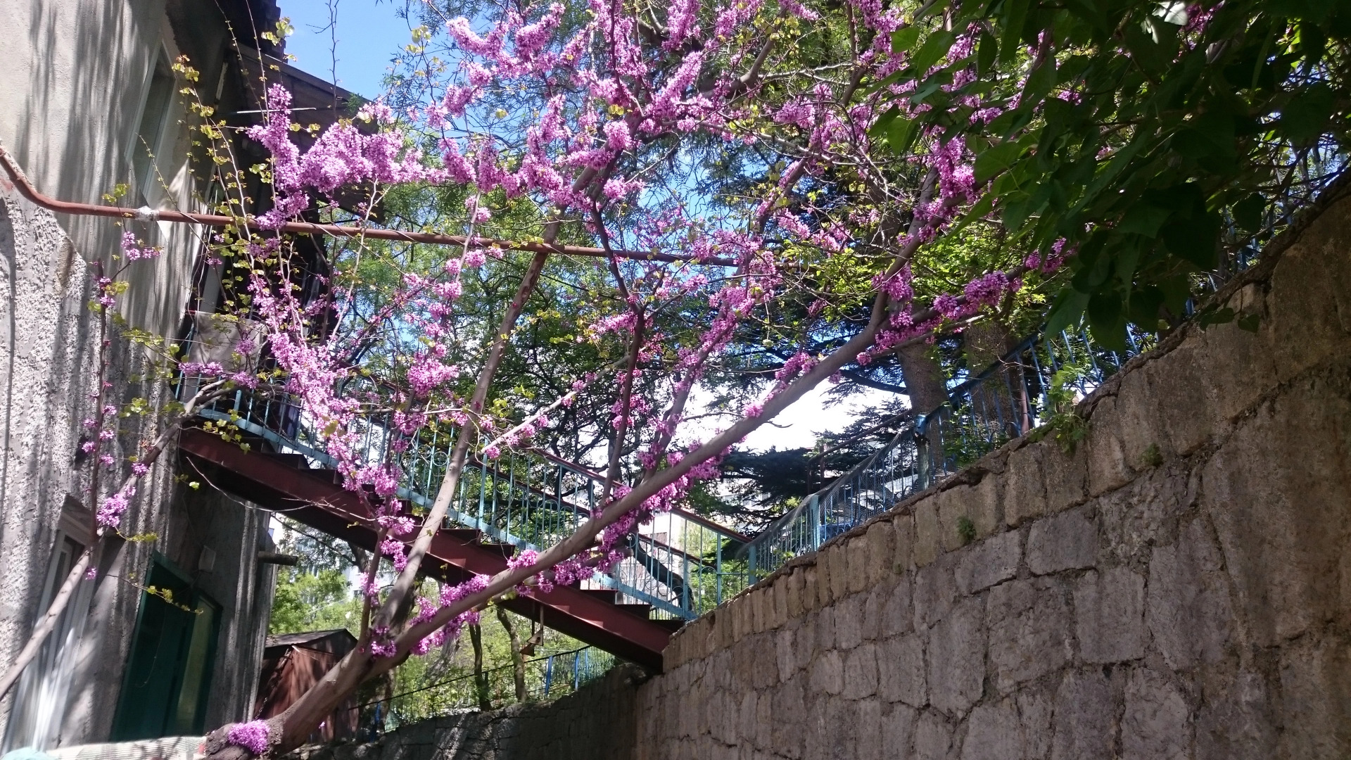 Na Pereulke Sverdlova Hostel