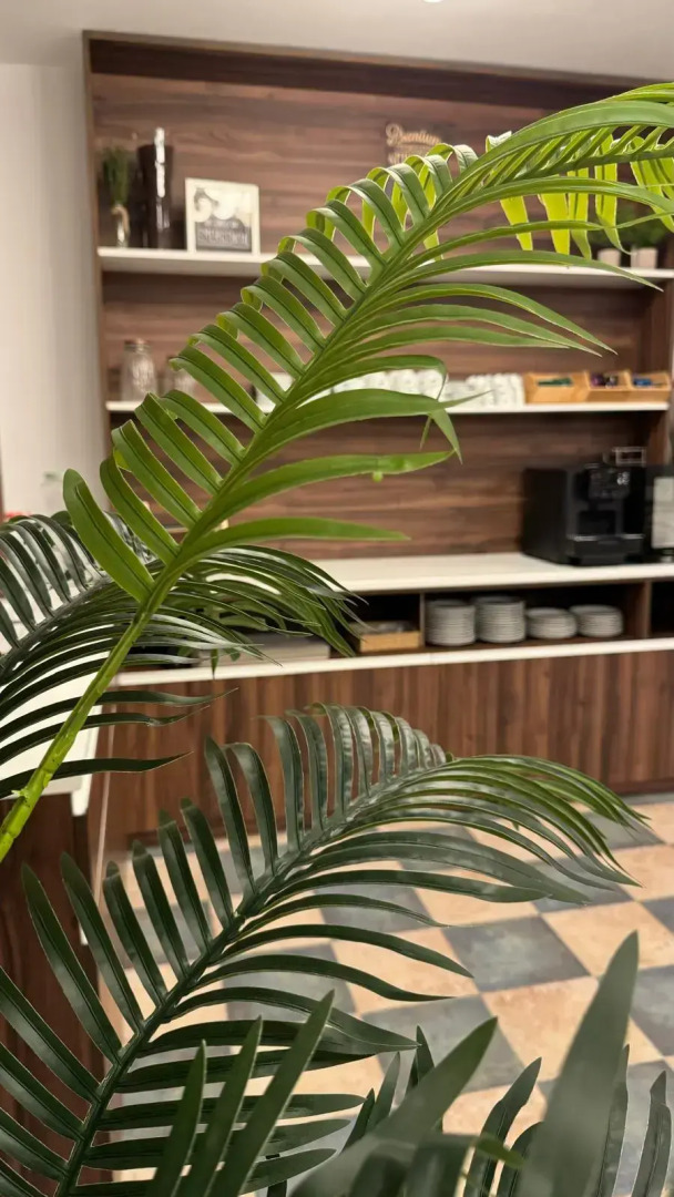 Hospedium Hotel La Fuente