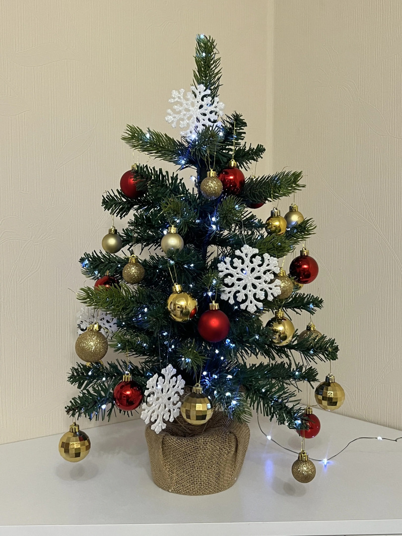 Апартаменты 3-комнатные Zoya-Apart