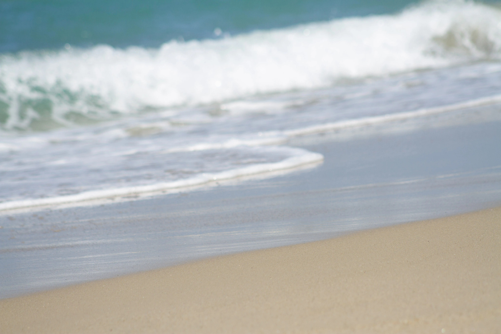 Отель Villa Flora