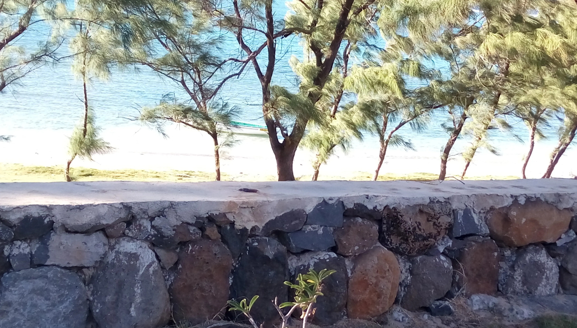 Гостевой Дом Le Shanoa