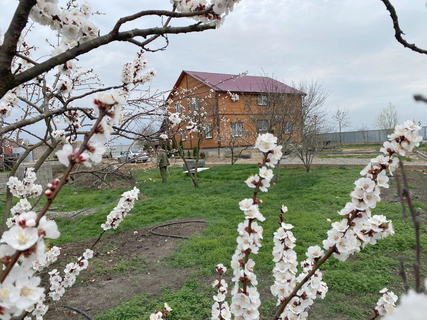 Гостевой дом Бушма