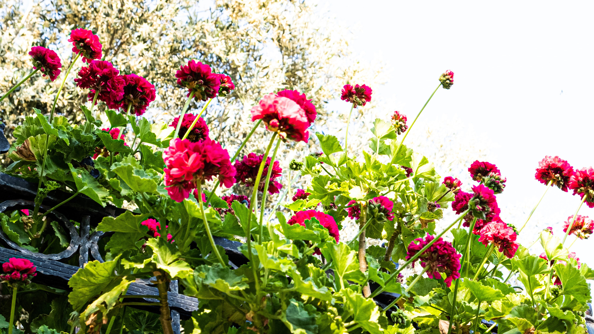 Отель Casa Di Pietra Kabak