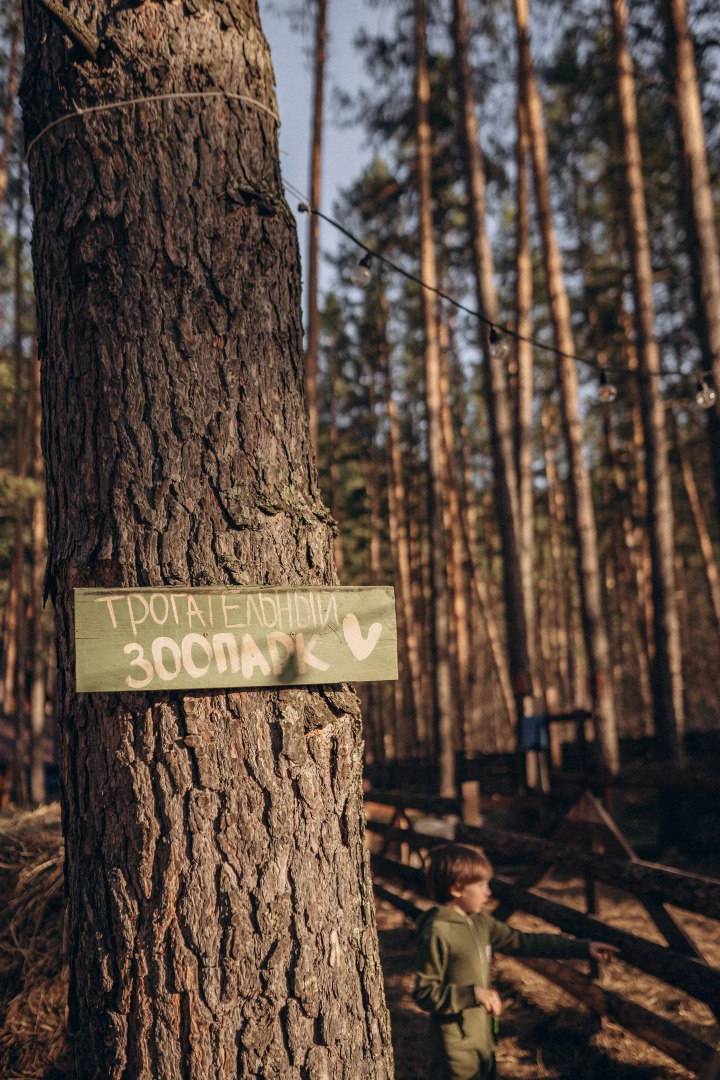 Гостевой дом Деревня Берендеевка
