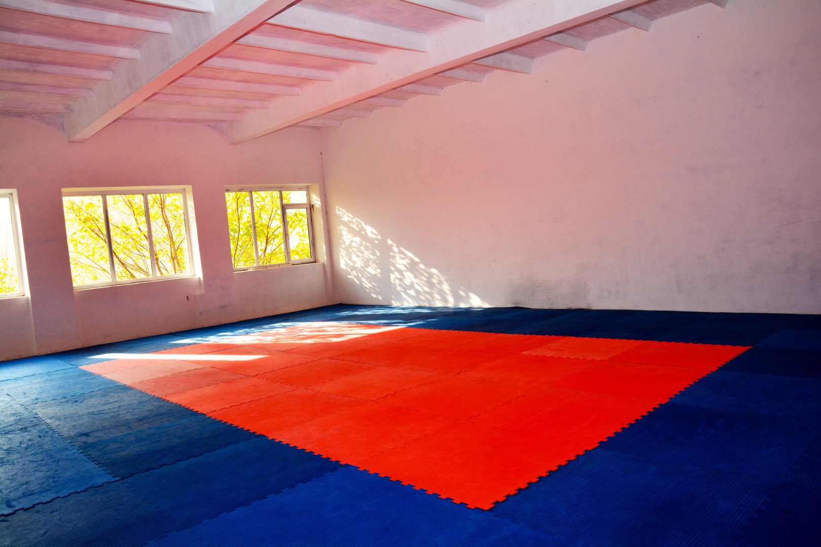 Санаторий Международный Детский Медицинский Центр Чайка