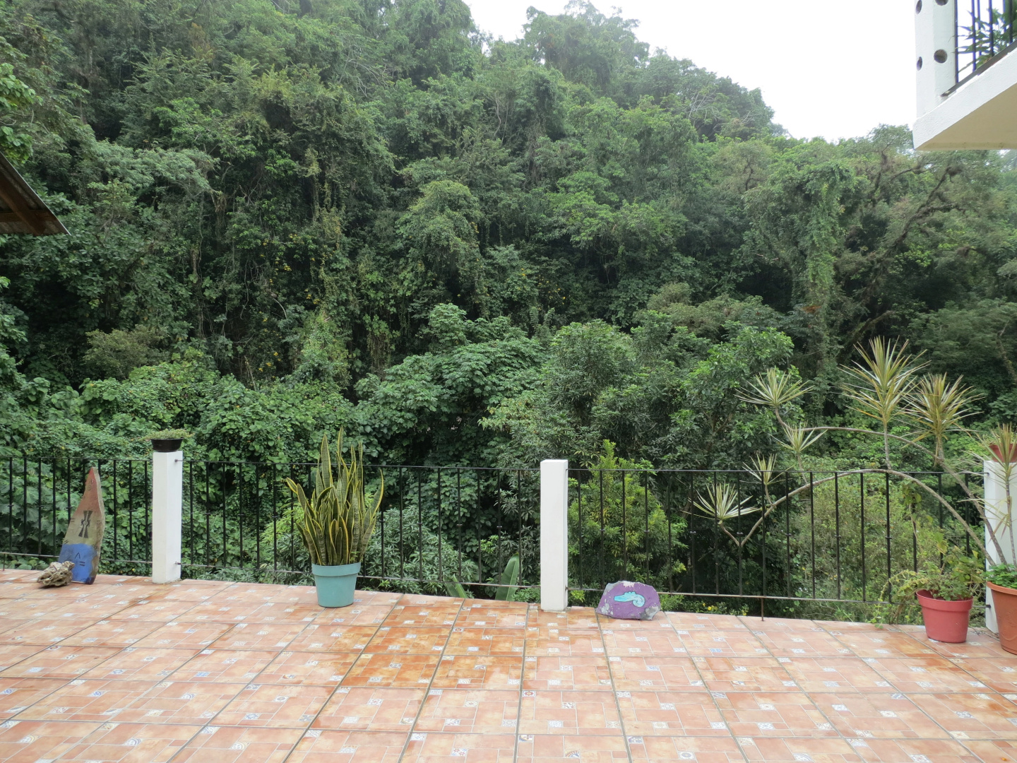 Отель Casa Verde Xilitla by Rotamundos