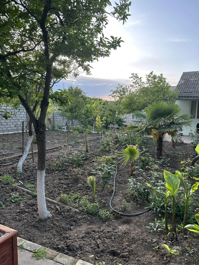 Апартаменты Поедем в Дагестан