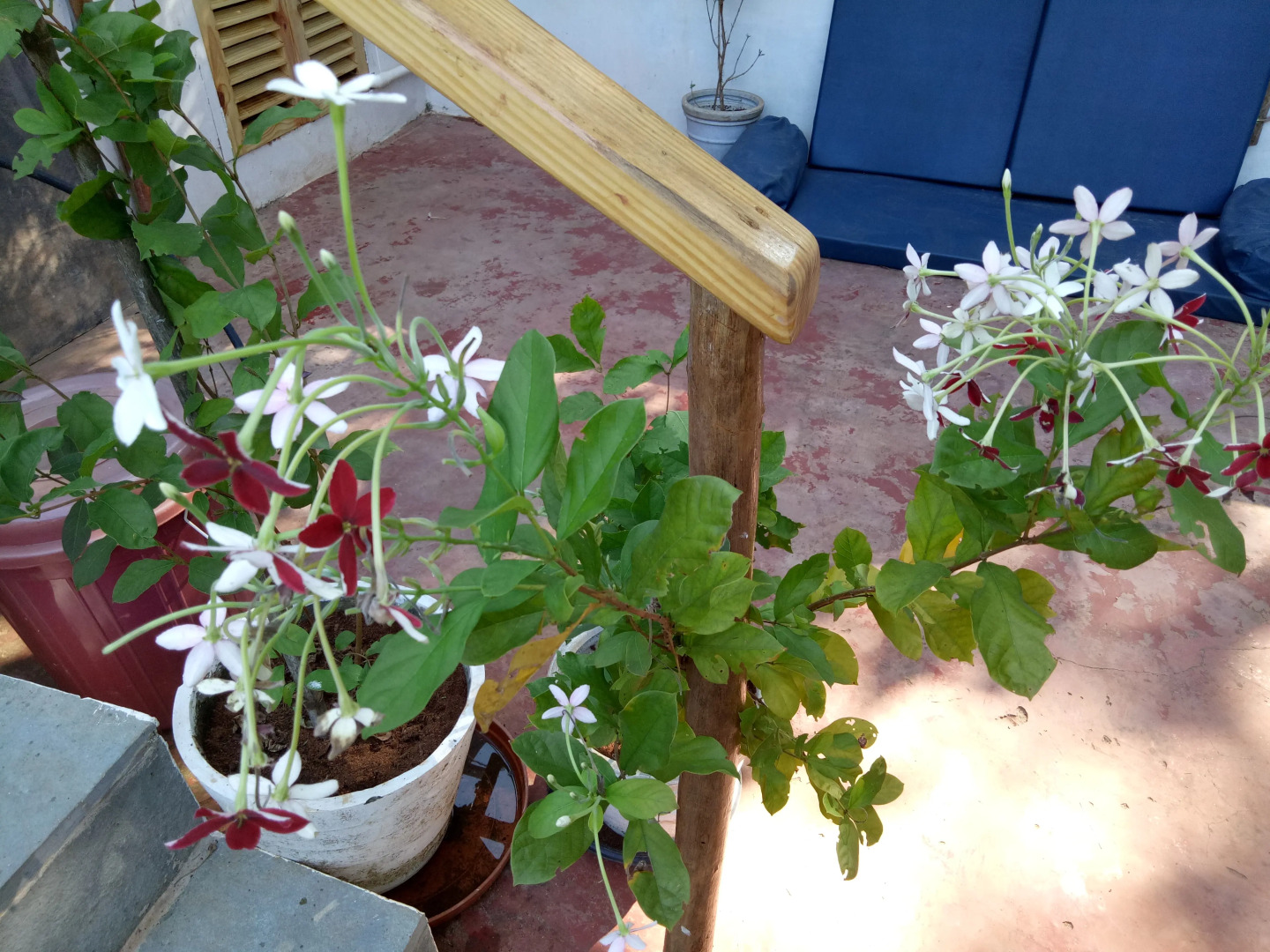 Отель Blue Planet Wellness