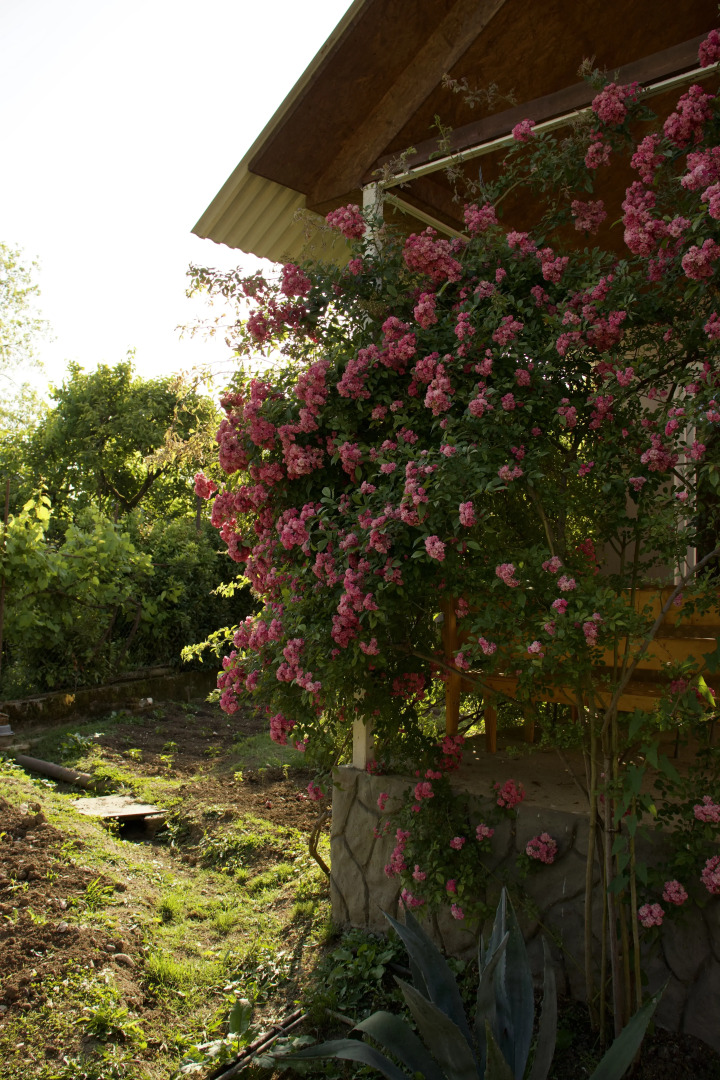 Гостевой дом Новый Афон