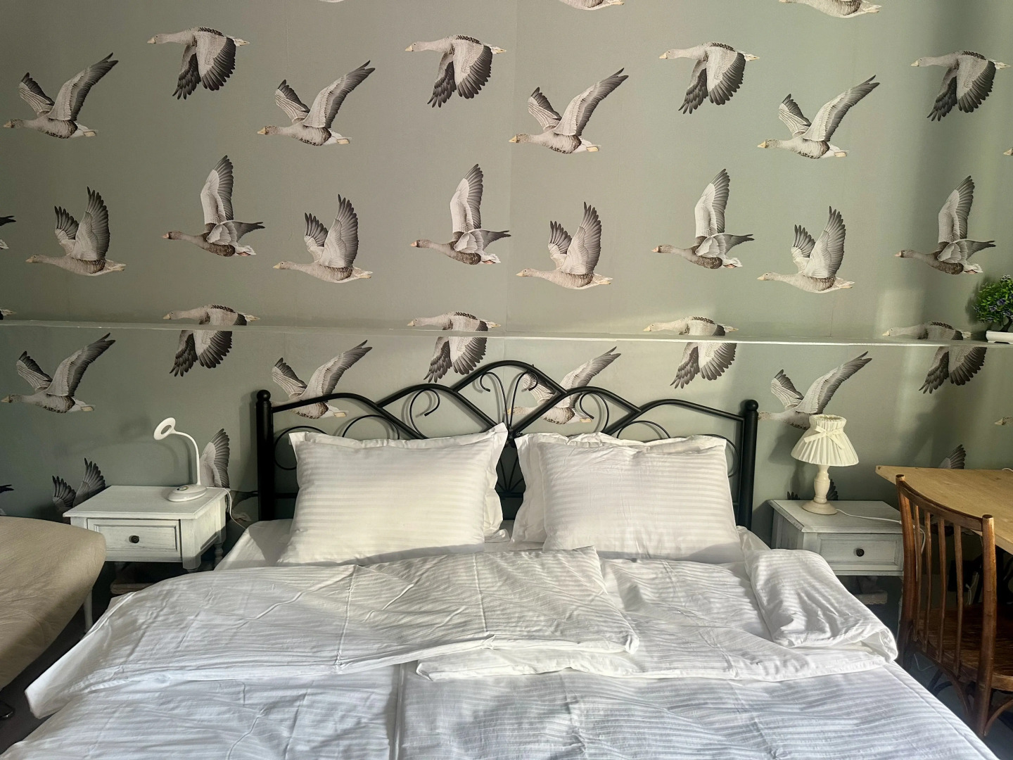 Гостевой дом Шартруз Красное