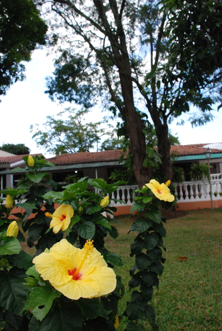 Апарт-Отель Jardin del Lago