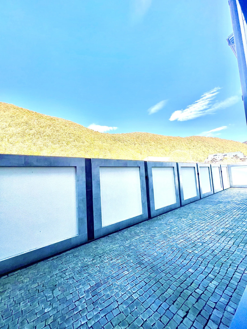 Апартаменты Красная Поляна 1 этаж