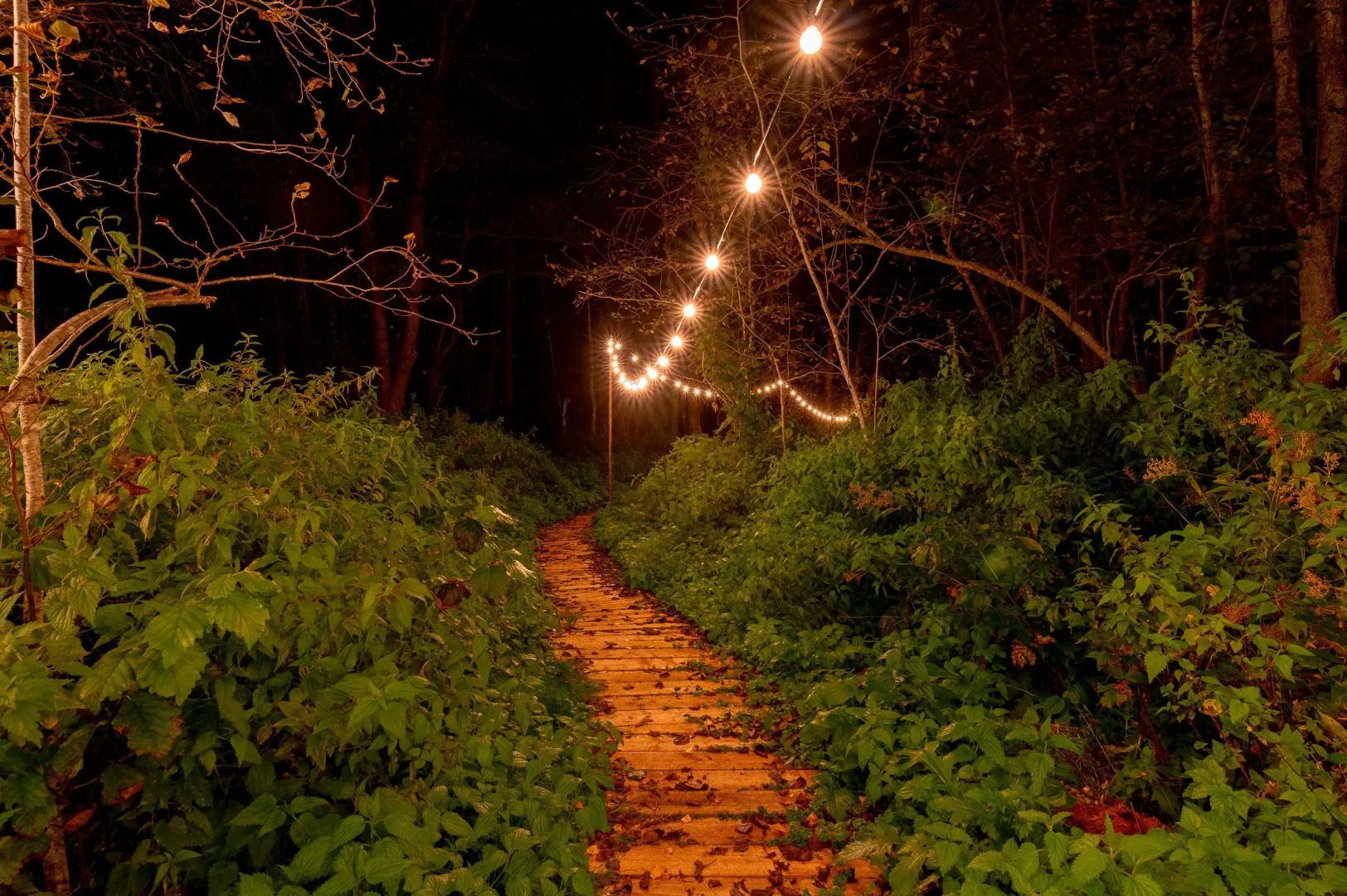 Частный Дом Барнхаус №1 с дровяной баней и горячей купелью, на 7 госте