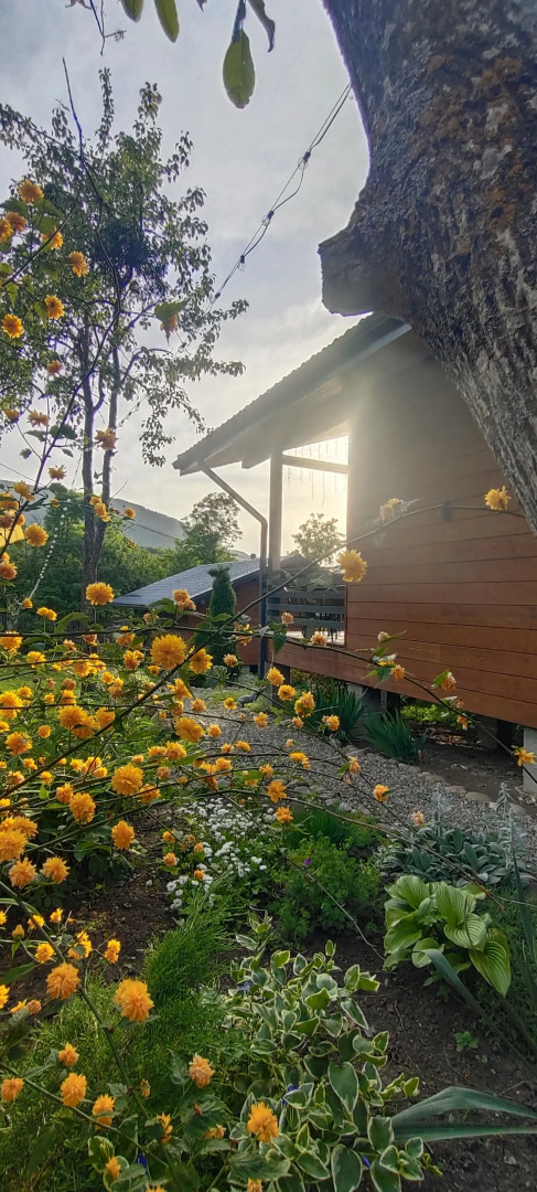 Гостевой Дом Дача Карамель