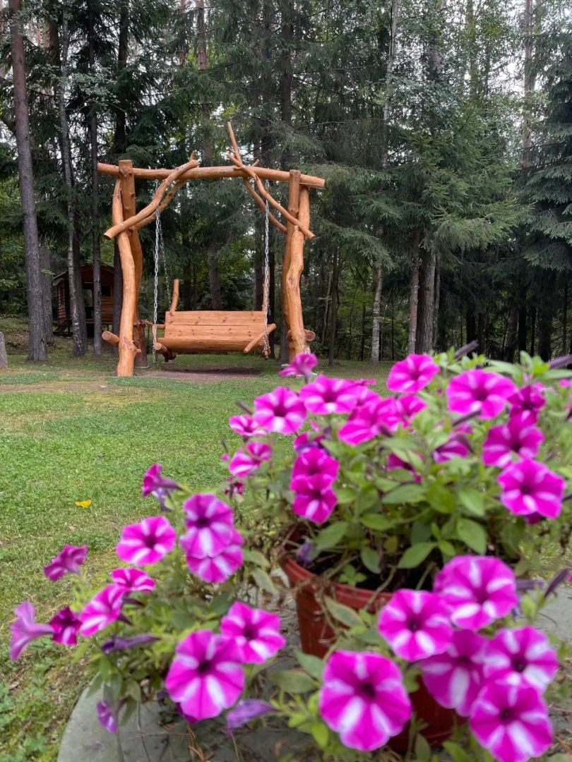 База отдыха Водопад