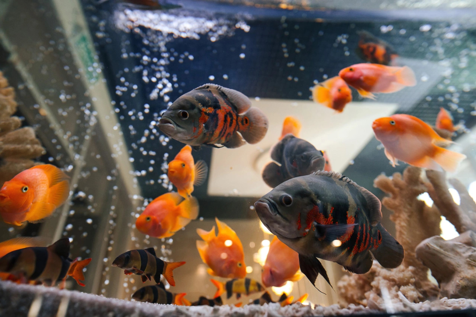 Мини-отель YAGAYAGA Wellness Club