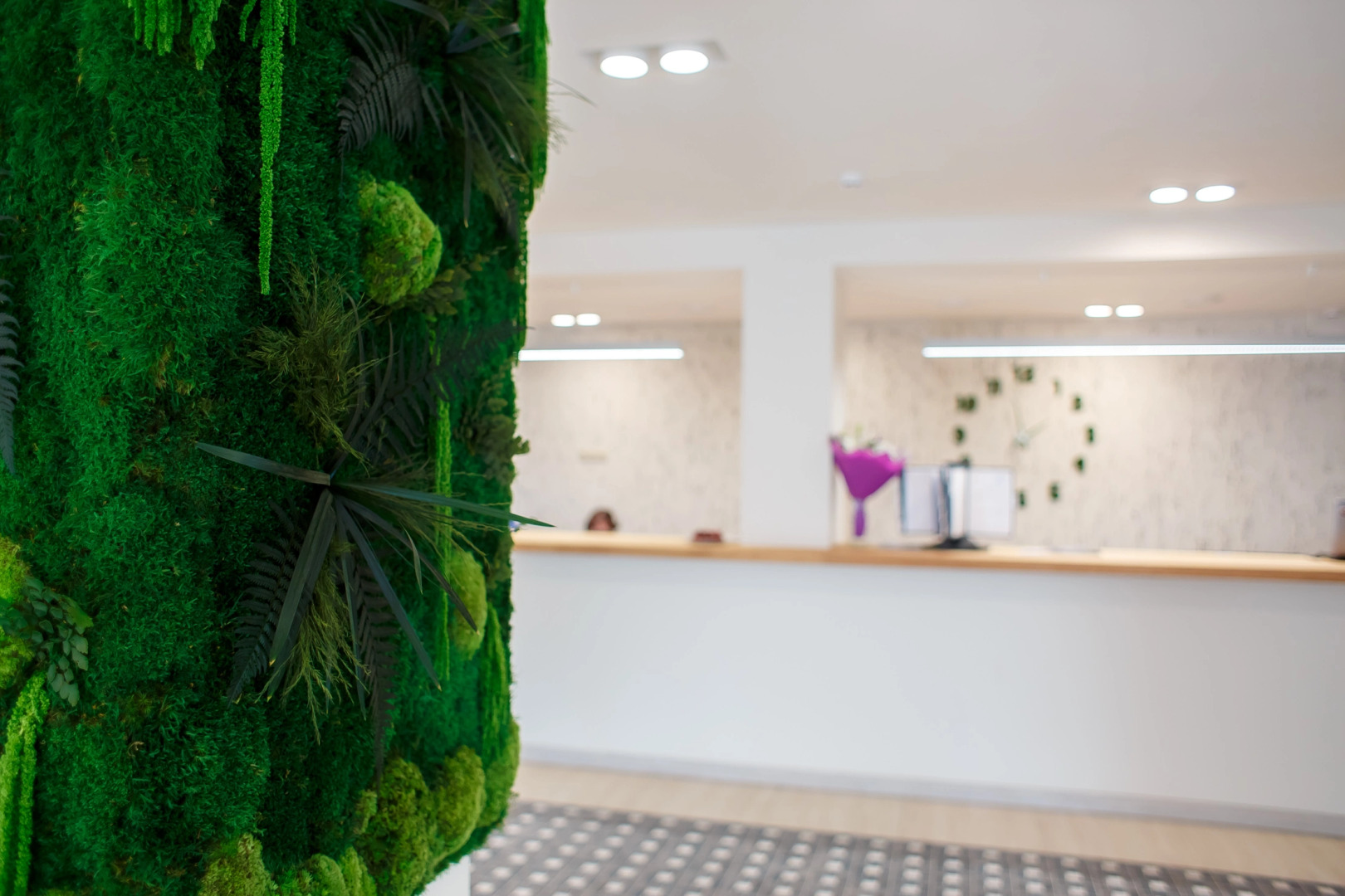 База отдыха Широкая