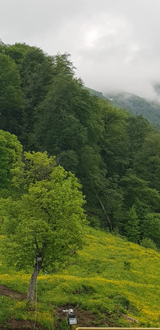 Апарт-Отель Bakurian 525i Orbi Palace