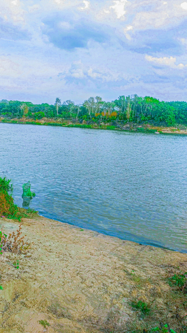 Гостевой дом Два белых льва на Дону