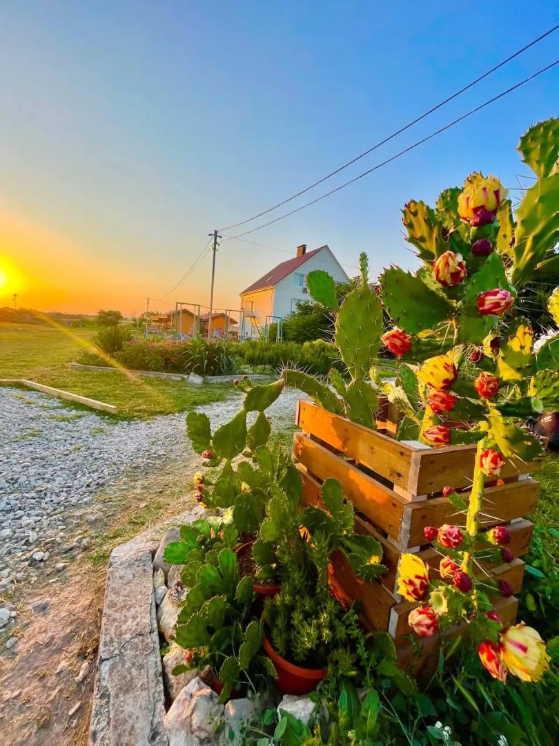 База отдыха Кактус